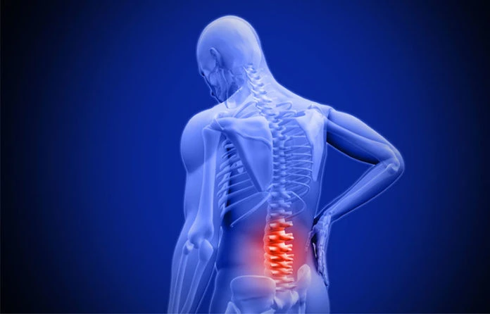 Joint and Back Pain